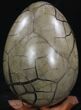 Septarian Dragon Egg Geode With Removable Section #33722-3